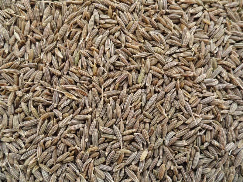 Cumin Seeds 04
