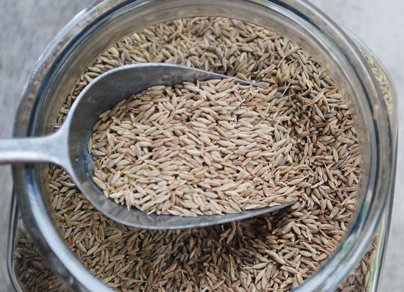 Cumin Seeds 05