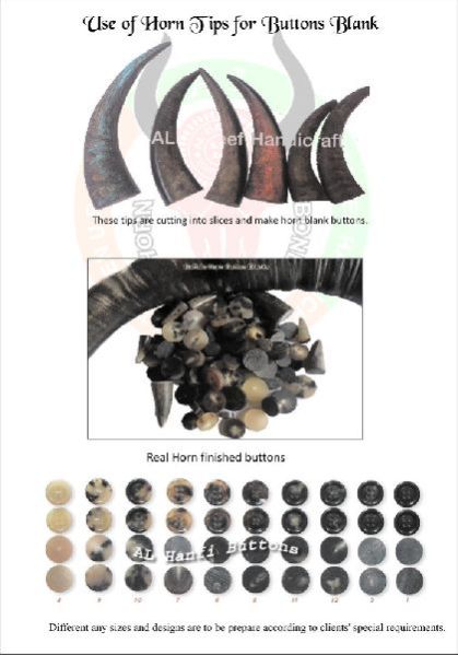 Buffalo Horn Blank Button 04