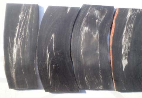 Optical Horn Plate 03