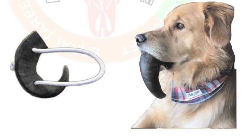 Dog Chew Rope Toy 04