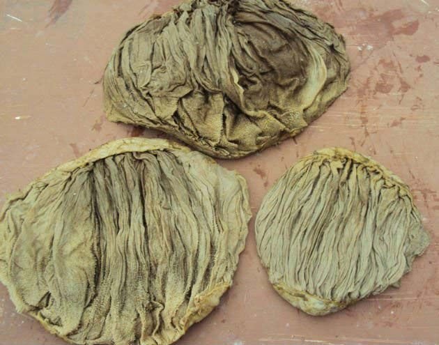 Dog Chew Rope Toy 03