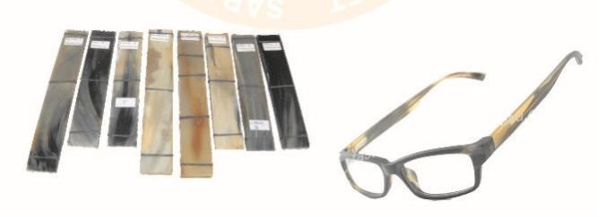 Optical Horn Plate 05