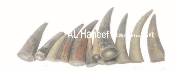 Ox Horn Blank Button 05