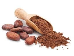 Cocoa Powder 02