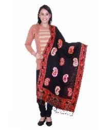 Embroidered Viscose Stole 34