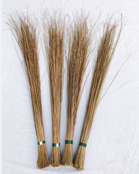 Maharaja Green Tape 300 Hard Broom 03