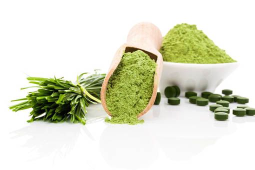 Wheatgrass Powder 01