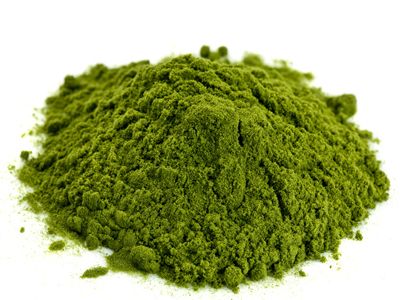 Wheatgrass Powder 02