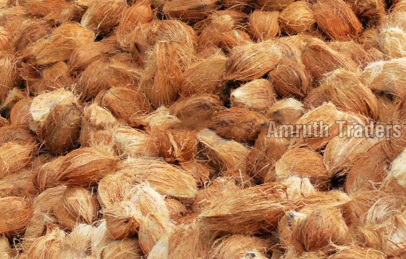 Semi Husked Coconut 01