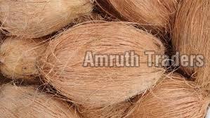 Semi Husked Coconut 02