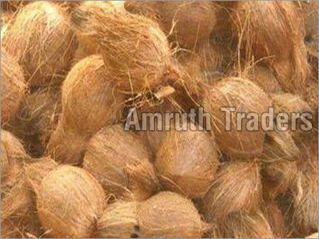 Semi Husked Coconut 03