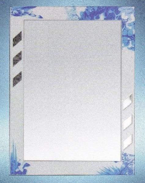 Designer Mirror (Toyo-9122)