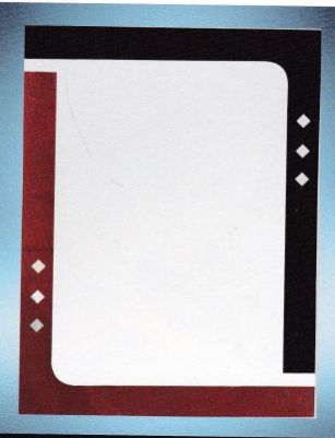 Stainless Steel Mirror Frame (TOYO 9117)