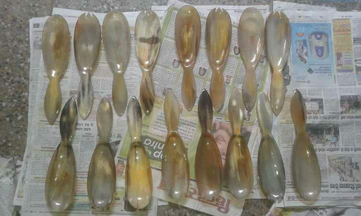 Horn Bowl & Spoon Set 03