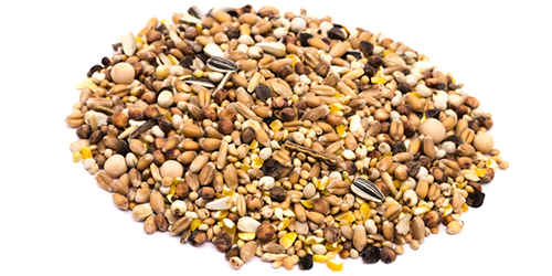 Poultry Feed 01