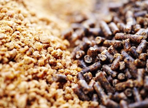 Poultry Feed 02