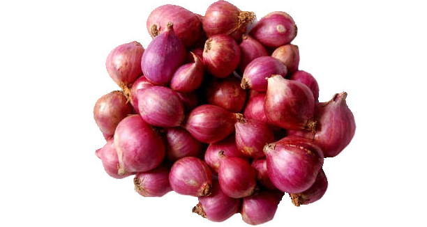 Fresh Red Onion 02