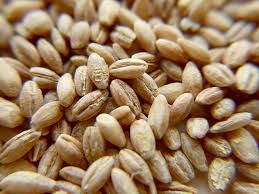 Hulled Barley Seeds 02