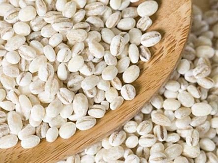 Pearl Barley Seeds 01