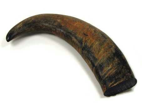 Drinking Horn 04