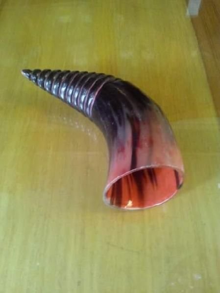 Drinking Horn 05