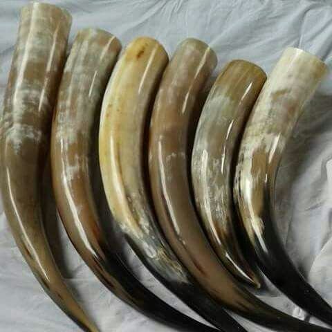 Drinking Horn 06