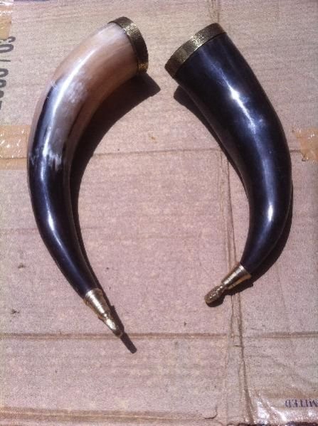 Drinking Horn 08