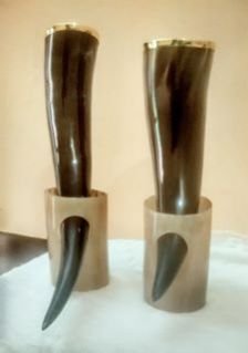 Drinking Horn 11