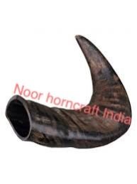 Drinking Horn 13
