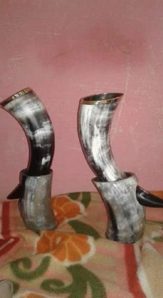 Drinking Horn 17