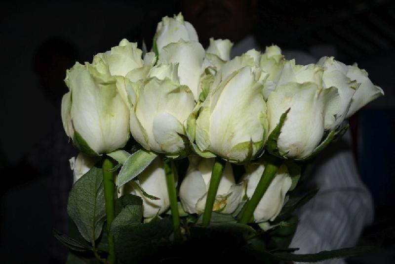 White Rose 02