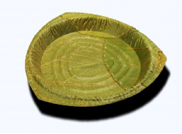 Siali Leaf Plate 01