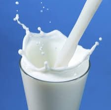 Camel Milk 04