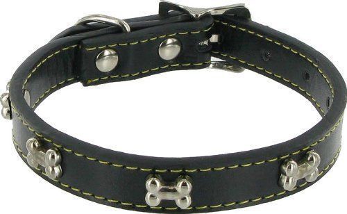 Dog Collar 02