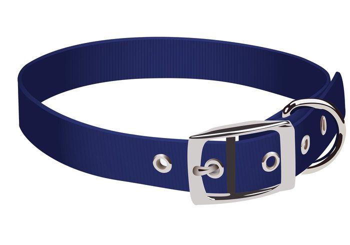 Dog Collar 05