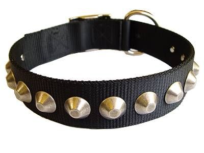 Dog Collar 06