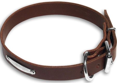 Dog Collar 07
