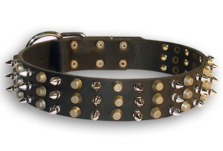 Dog Collar 08