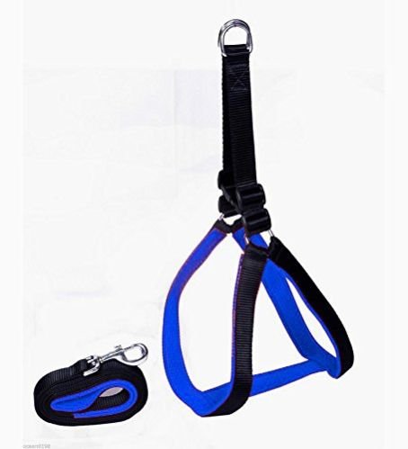 Dog Harness Set 02
