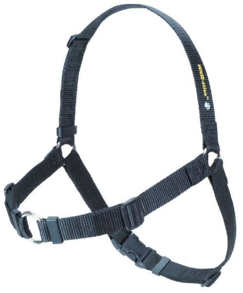 Dog Harness Set 03