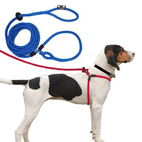 Dog Harness Set 05