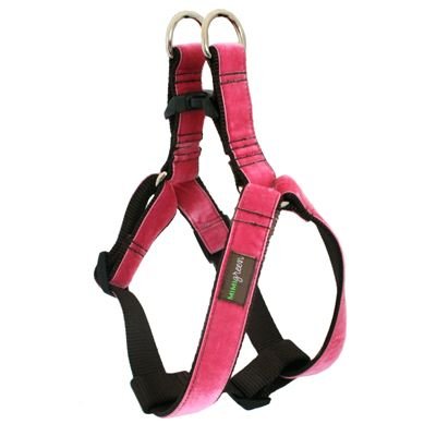 Dog Harness Set 09