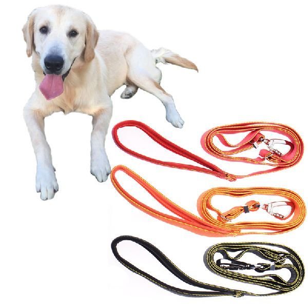 Dog Lead and Leash 01
