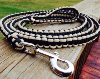 Dog Lead and Leash 03