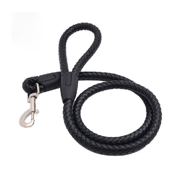 Dog Lead and Leash 08