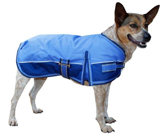 Dog Winter Coat 02