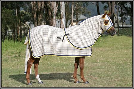 Horse Cotton Rug 03