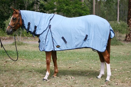 Horse Cotton Rug 06