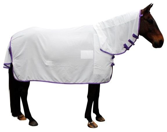 Horse Flag Rug 01